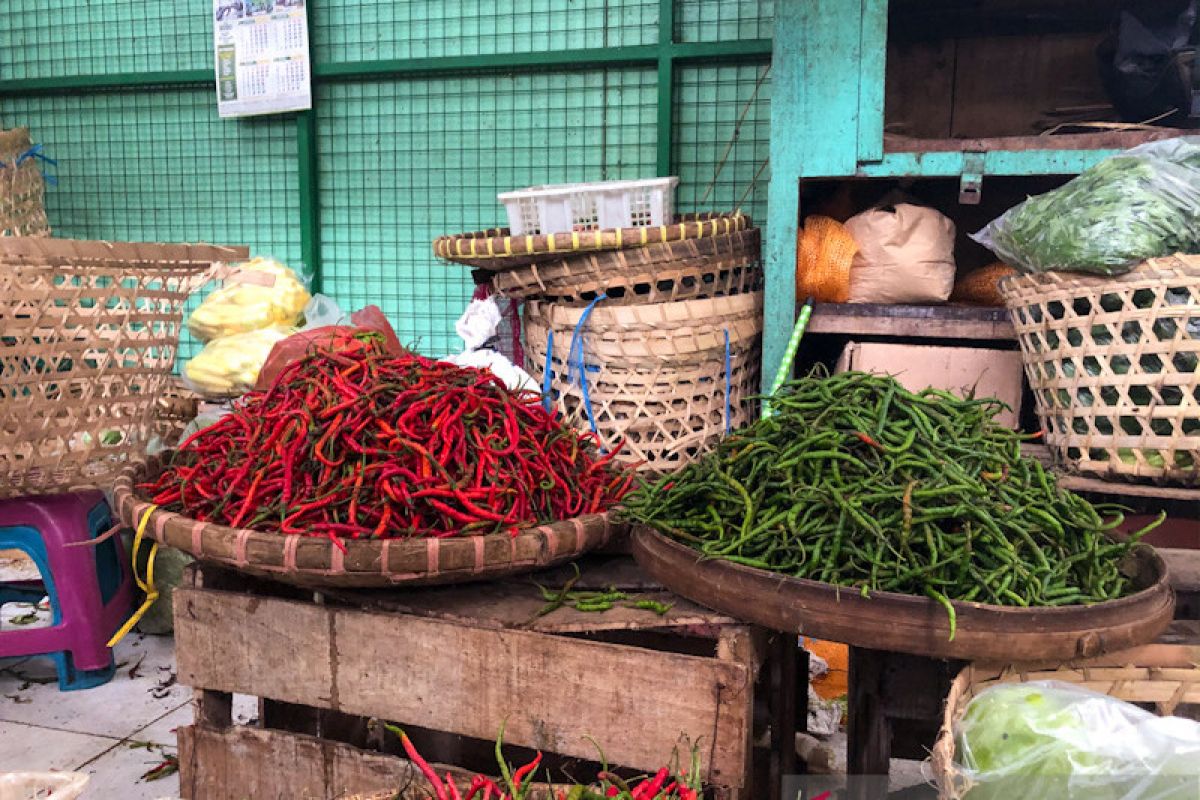 Harga cabai di tingkat pedagang pasar tradisional Yogyakarta merangkak naik