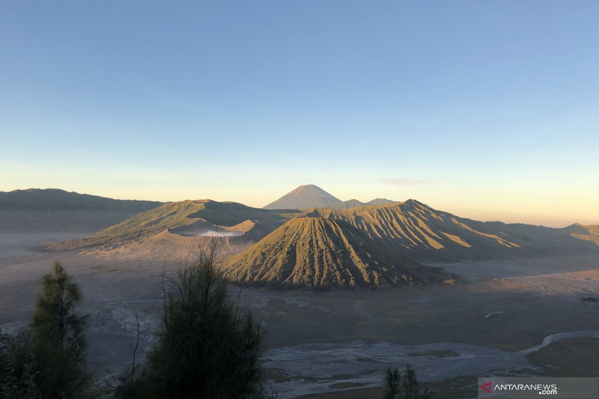 Bromo bebas kendaraan  bermotor selama satu bulan penuh