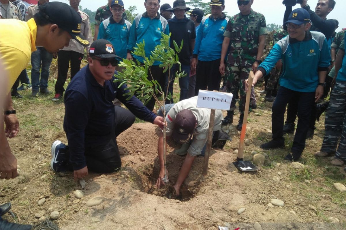 Mukomuko tanam pohon di sempadan sungai kritis