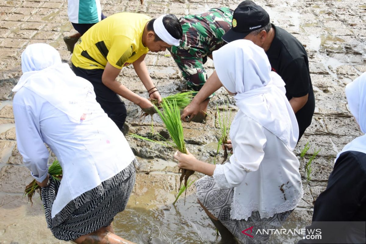 Dedi Mulyadi ajak menanam padi bernutrisi sebagai upaya cegah stunting