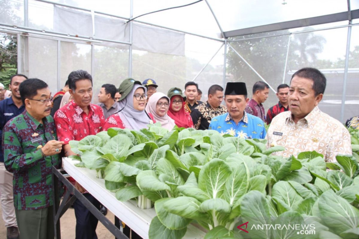 Gubernur Lampung minta Polinela kembangkan hortikultura