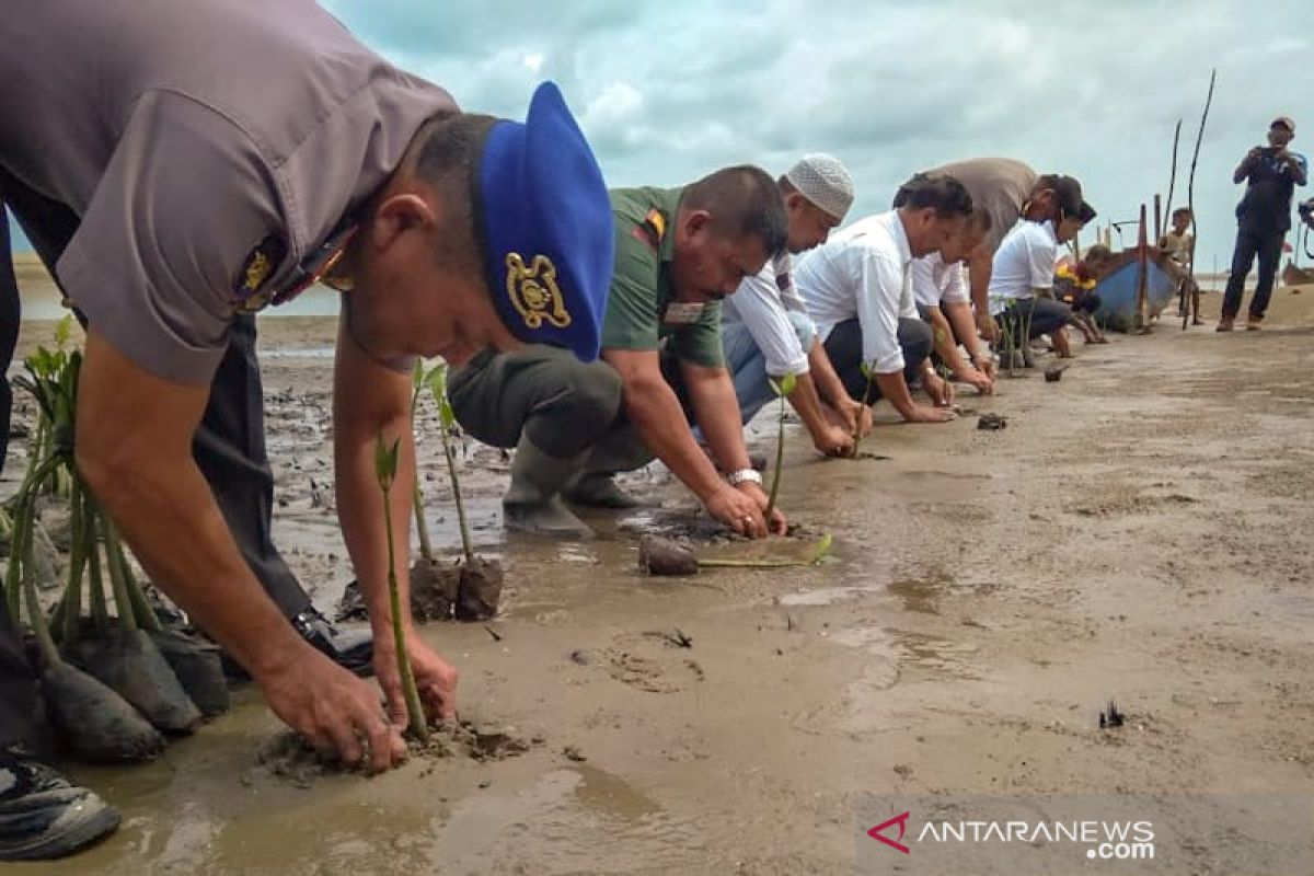 Pantai akan dijadikan wisata mangrove di Aceh Timur