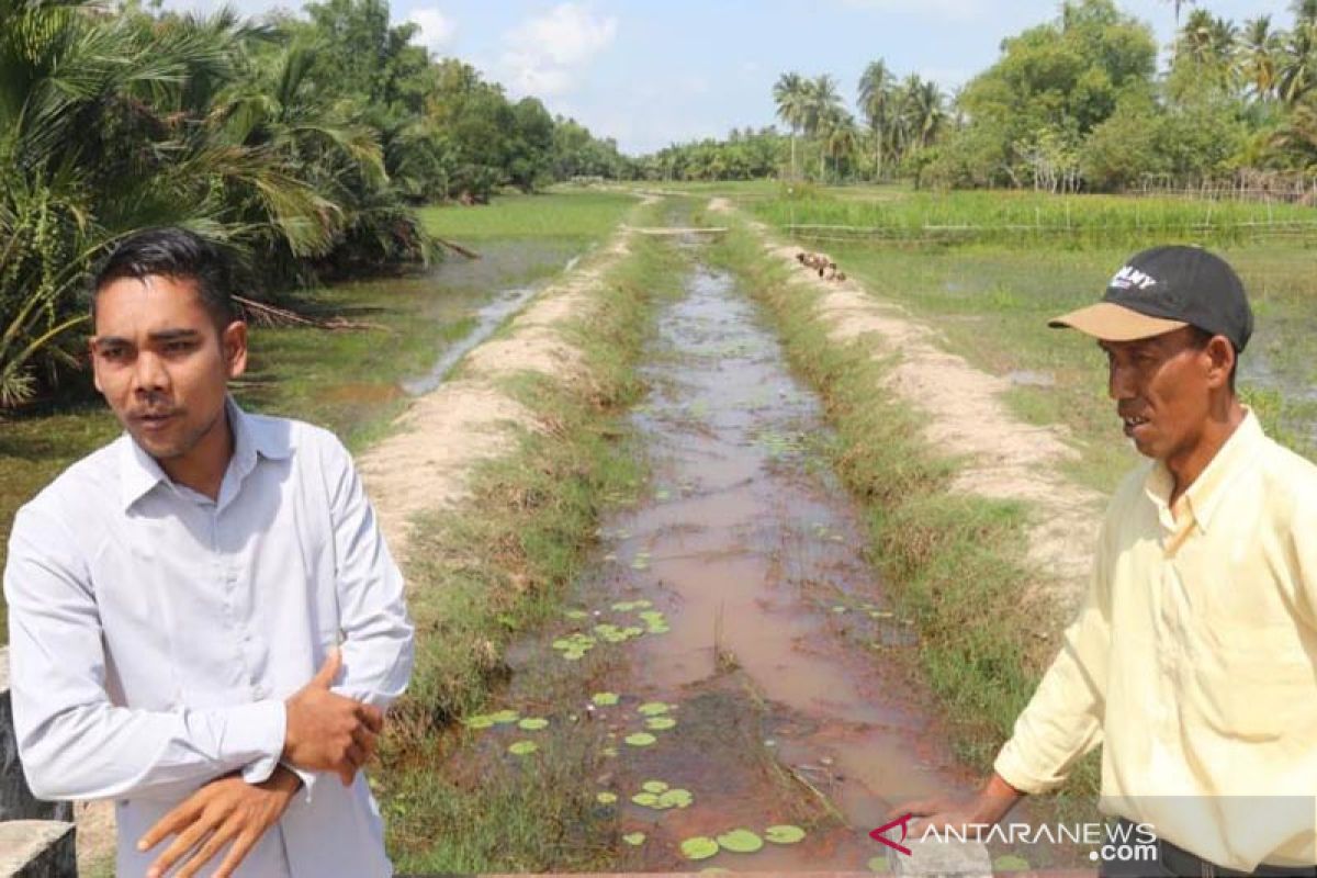 Petani di delapan desa di Aceh Timur butuh normalisasi saluran