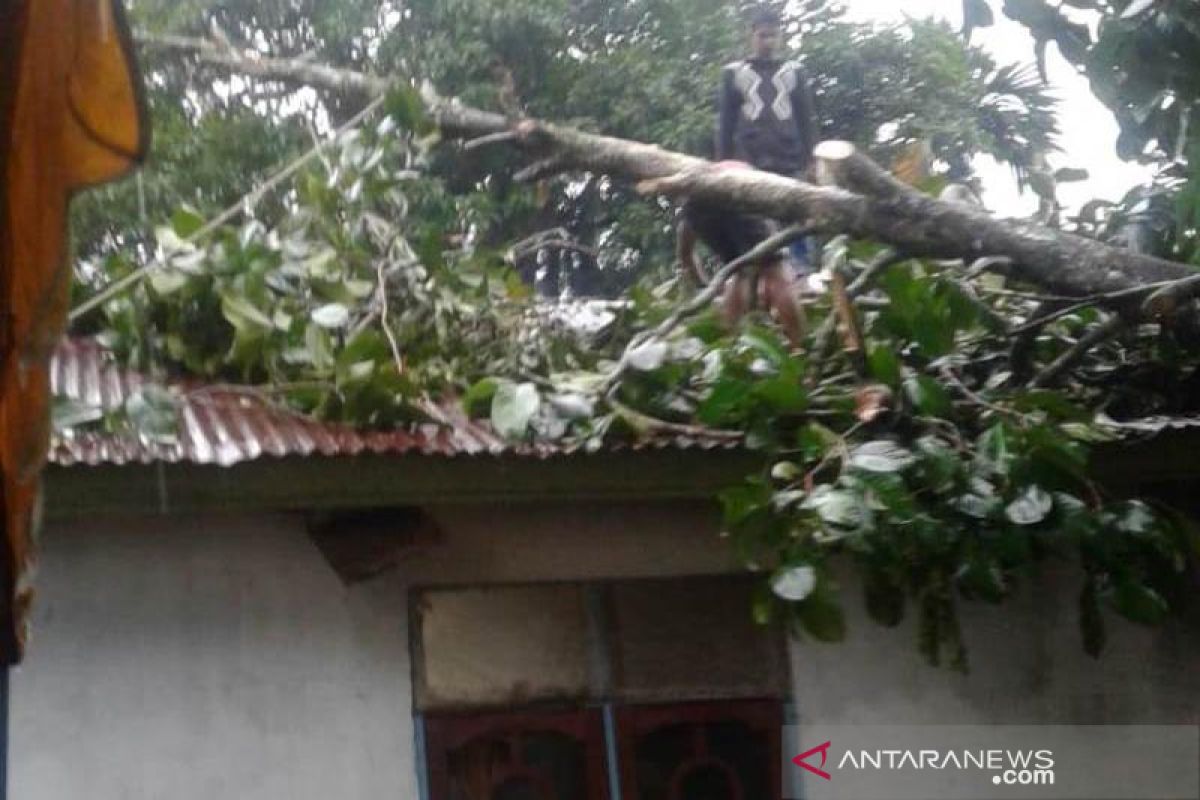 Rumah warga Abdya rusak diterjang puting beliung