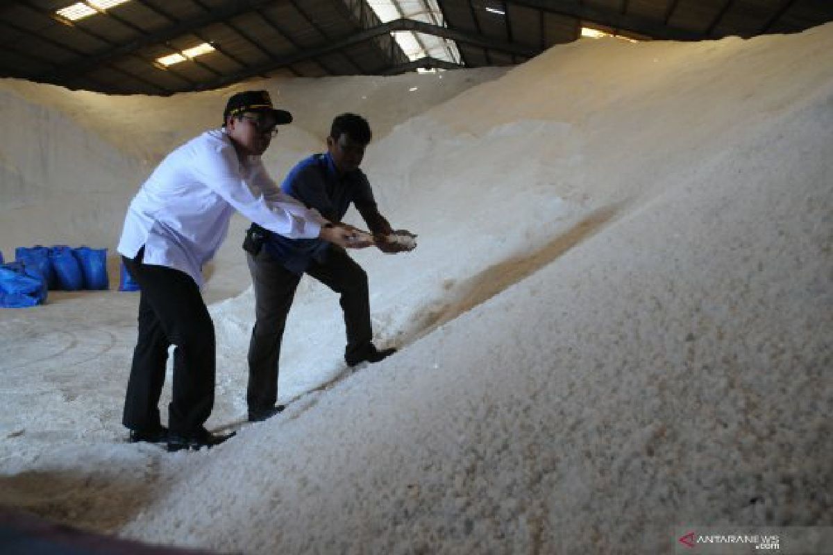 Harga anjlok, ratusan ribu ton garam produksi petani Madura belum terserap