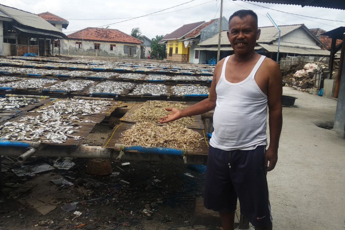 Stok ikan Teri Nasi asin di Pulau Pasaran kosong
