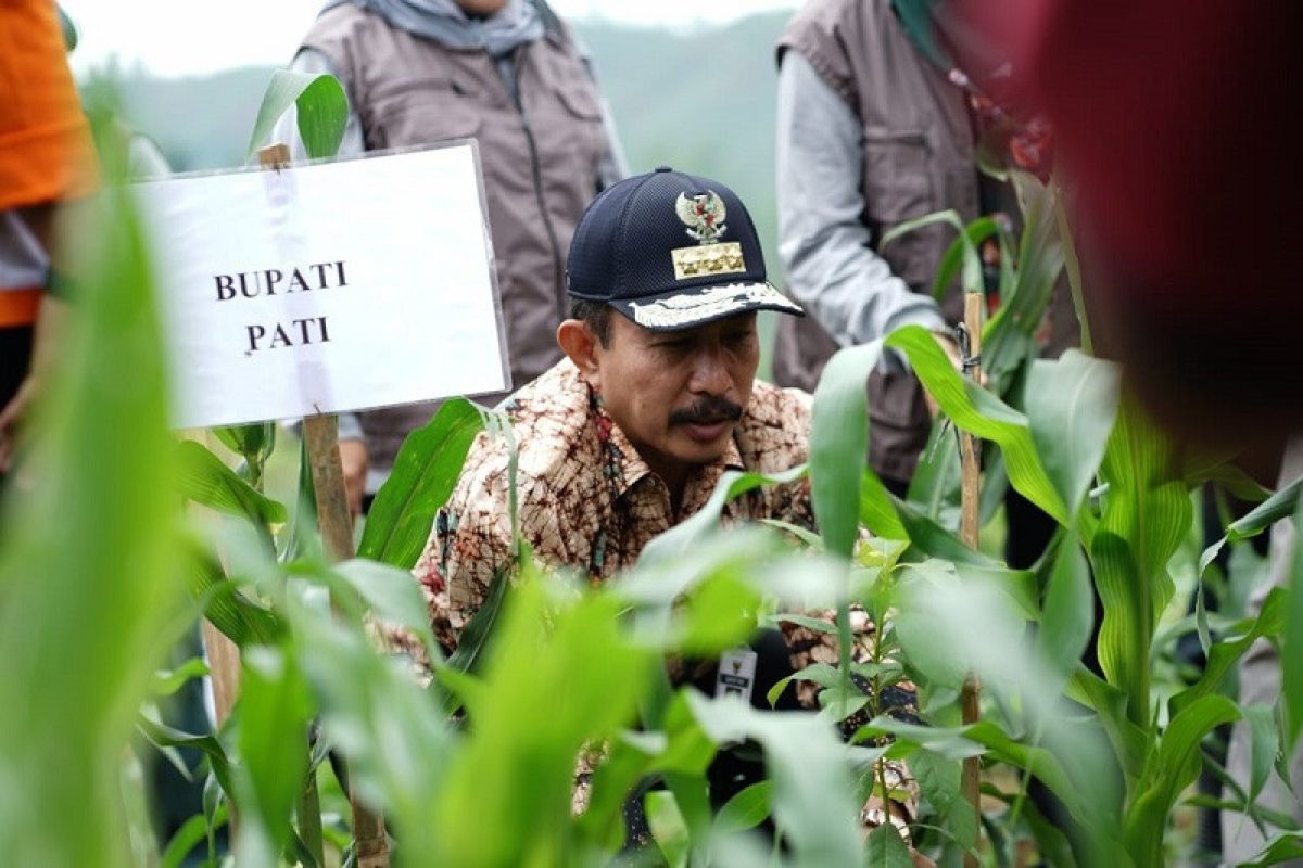 Petani Pati kantongi izin pemanfaatan hutan seluas 1.265 hektare