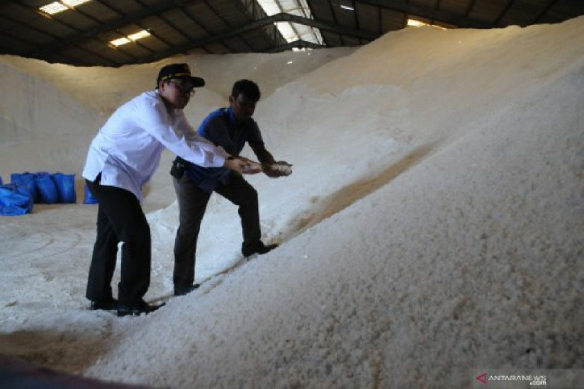 161.665 ton garam tak tertampung di gudang Madura