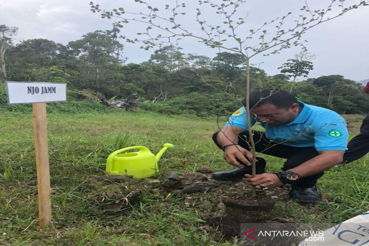 Hari gerakan sejuta Pohon, Sarekat Hijau Sumut dorong seluruh elemen untuk tanam pohon