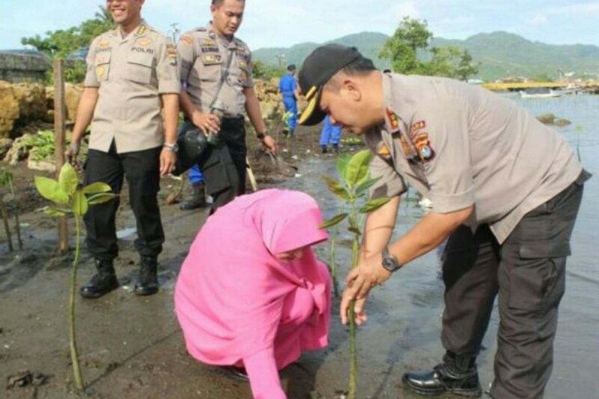 Polda Sulbar tanam 6.700 bibit pohon mangrove