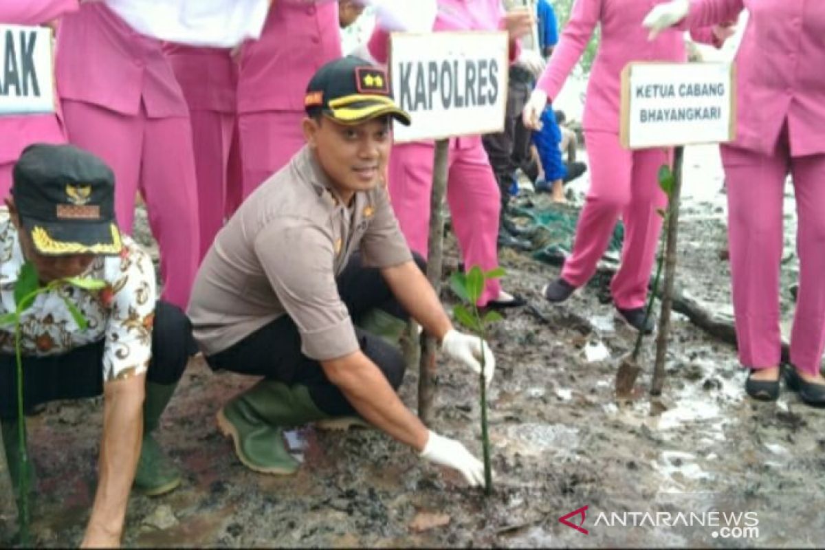 Polres Bangka Selatan tanam 500 pohon mangrove