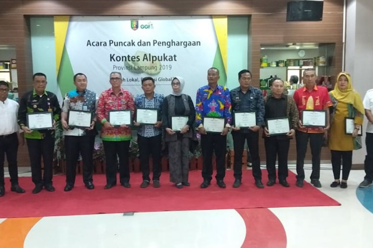 Bandarlampung juara kontes buah alpukat GGF