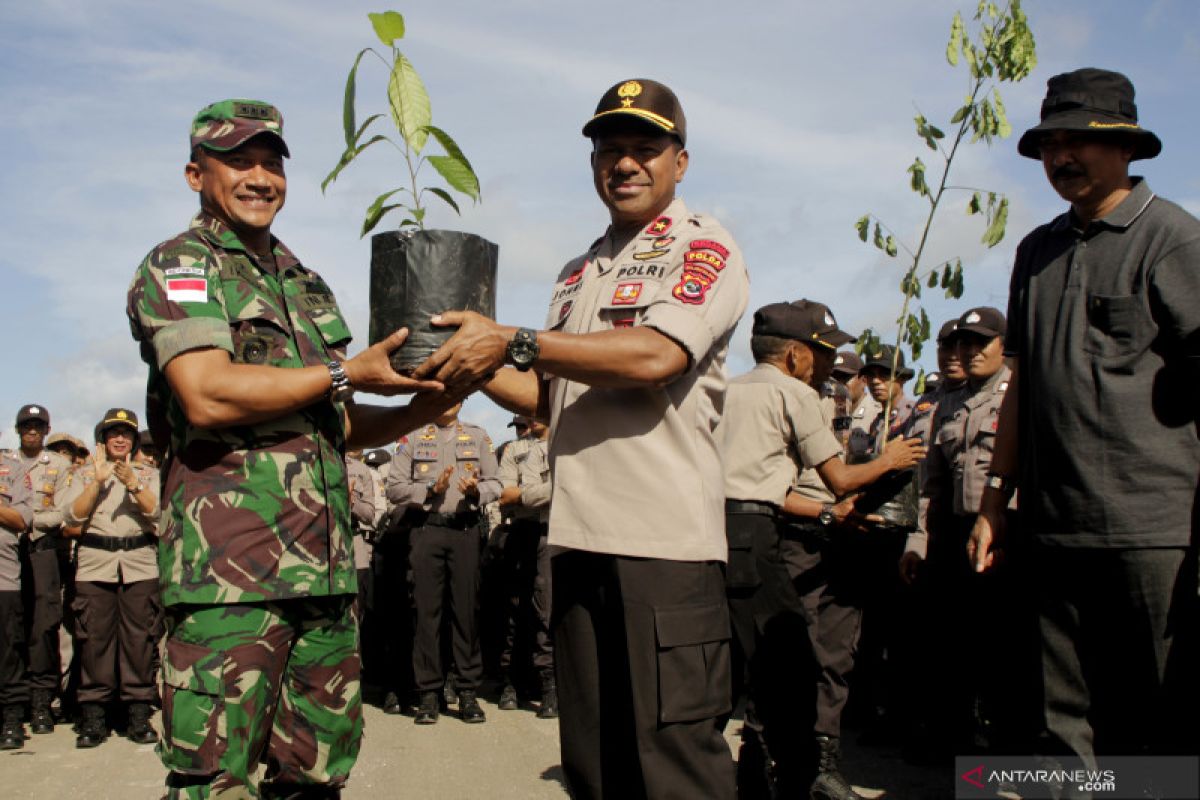 Wakapolda:  NTT perlu banyak pepohonan, ini manfaatnya