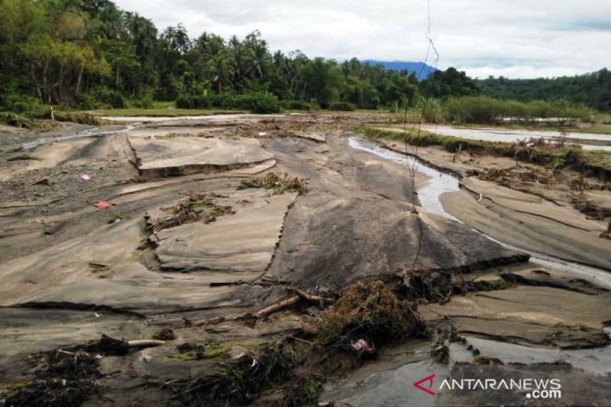 2,75 hektare sawah di Padang Pariaman rusak akibat banjir bandang