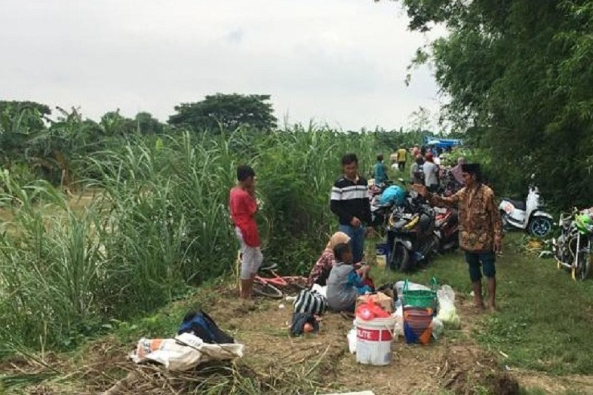 Ratusan warga terdampak banjir Demak bertahan di tanggul sungai