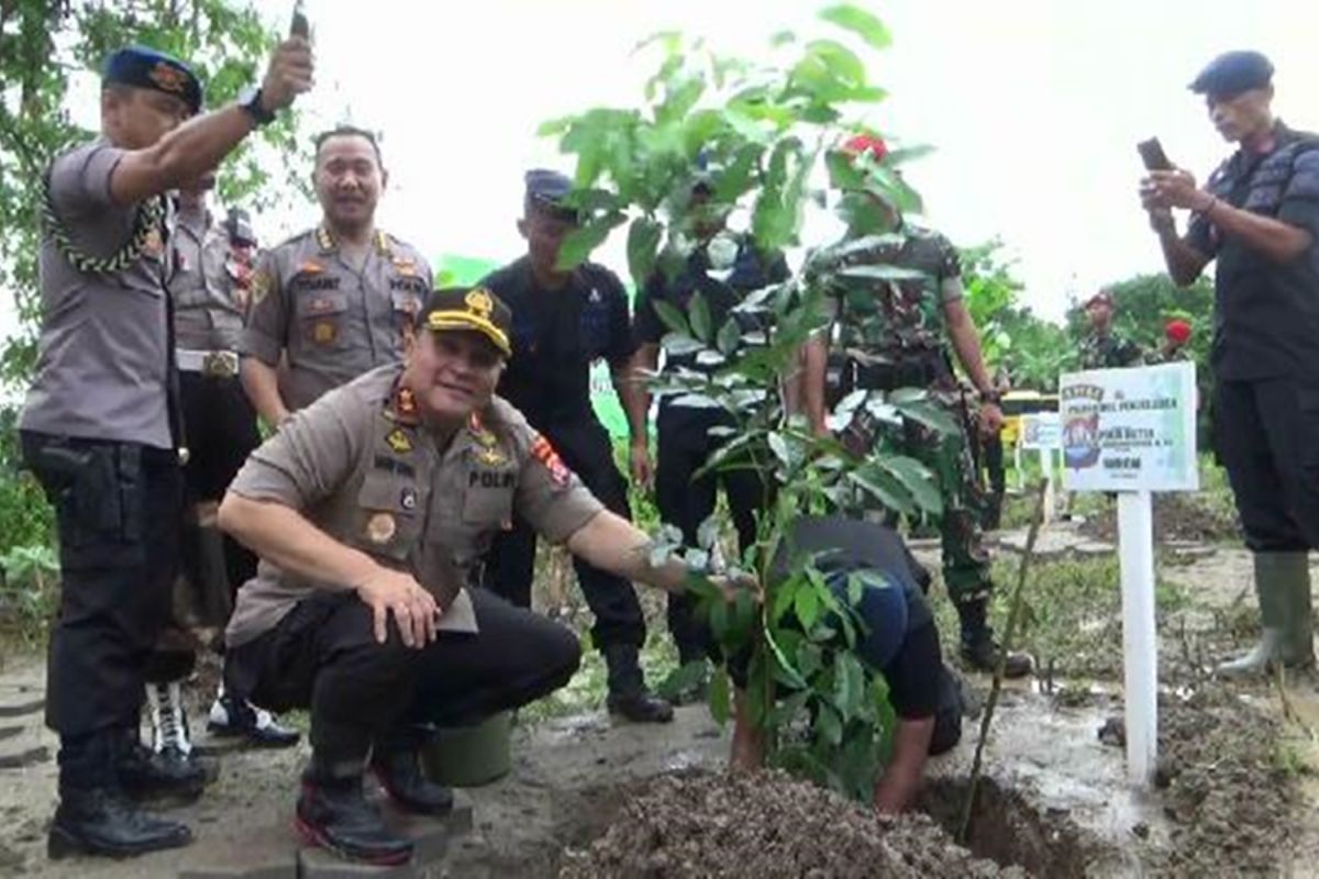 Kapolda Banten  lakukan penanaman 20 ribu batang pohon