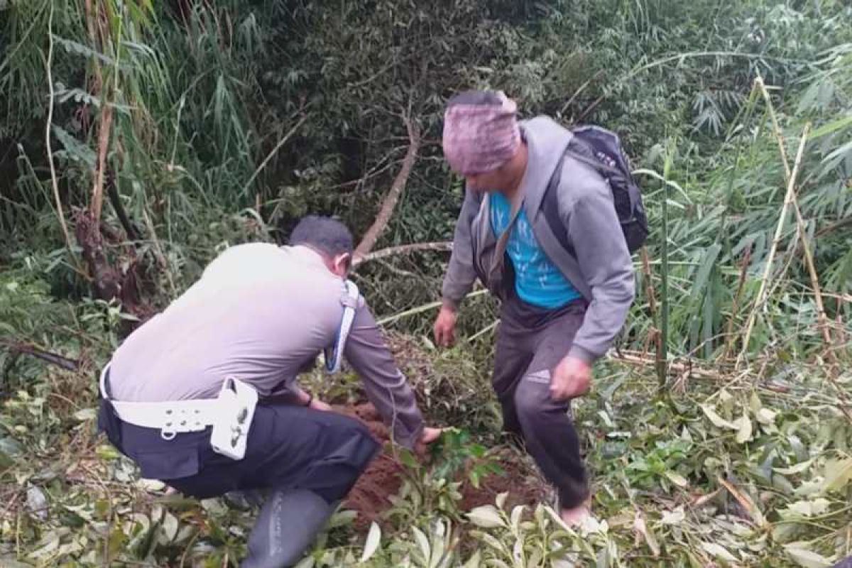 Polisi dan petani  tanam beringin di lereng Gunung Sumbing