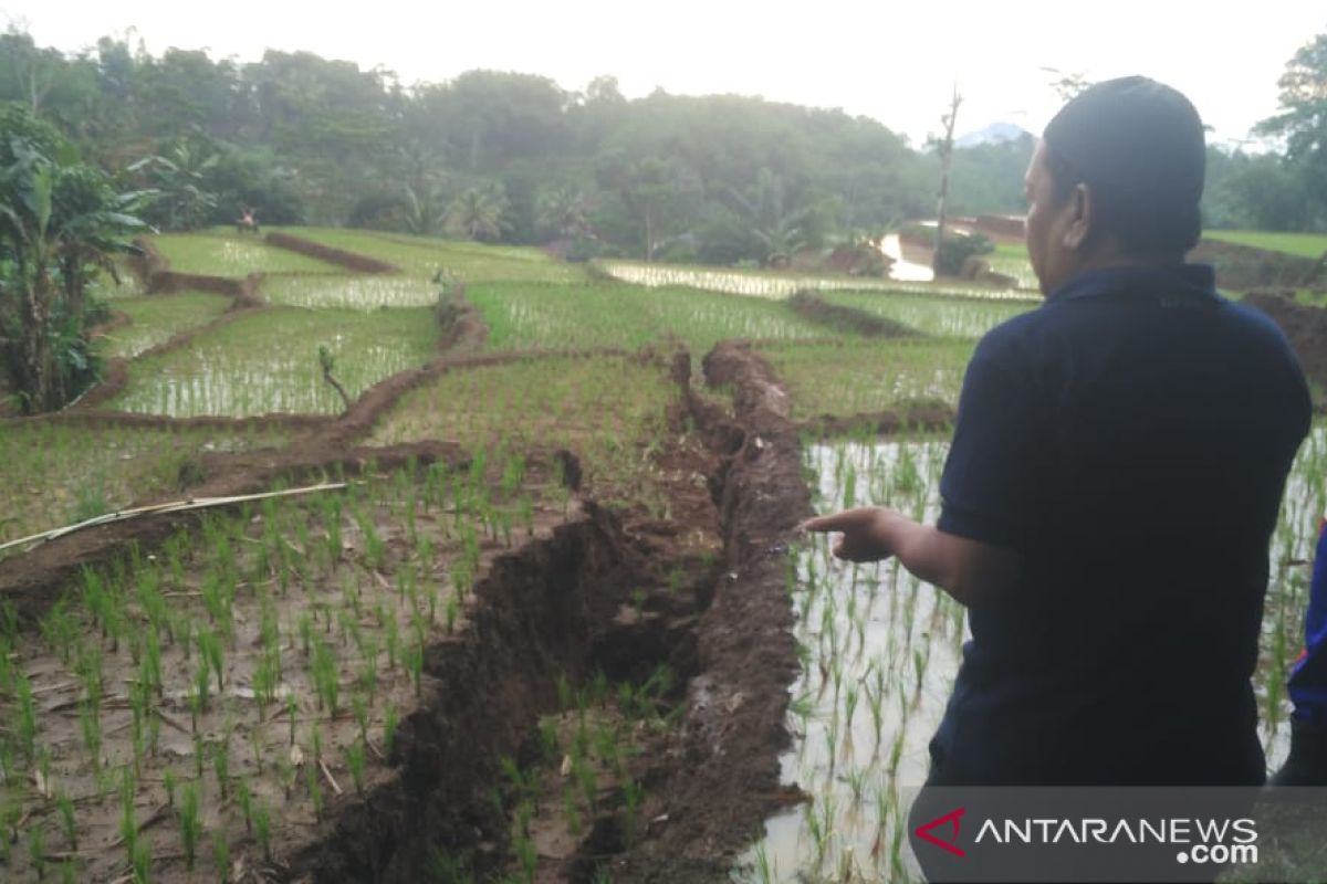 Pendataan pergerakan tanah Kadupandak-Cianjur terus dilakukan BPBD