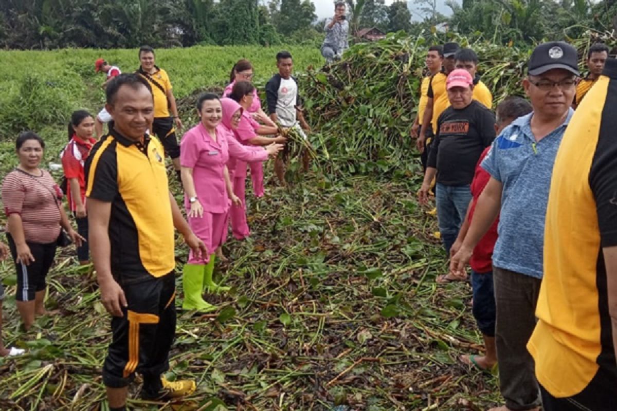Eceng gondok di Danau Tondano dibersihkan polisi dan Bhayangkari