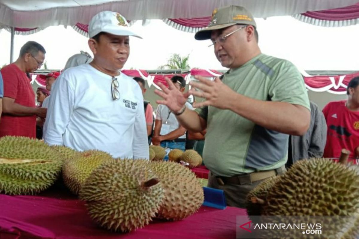 207 petani lokal Bangka Ikuti Kontes Durian