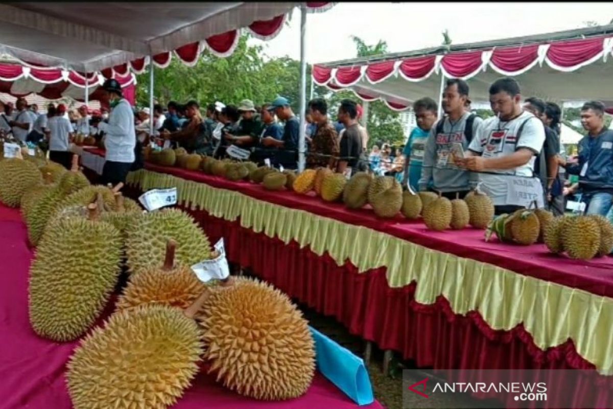 Ratusan pengunjung padati kontes dan bazar durian