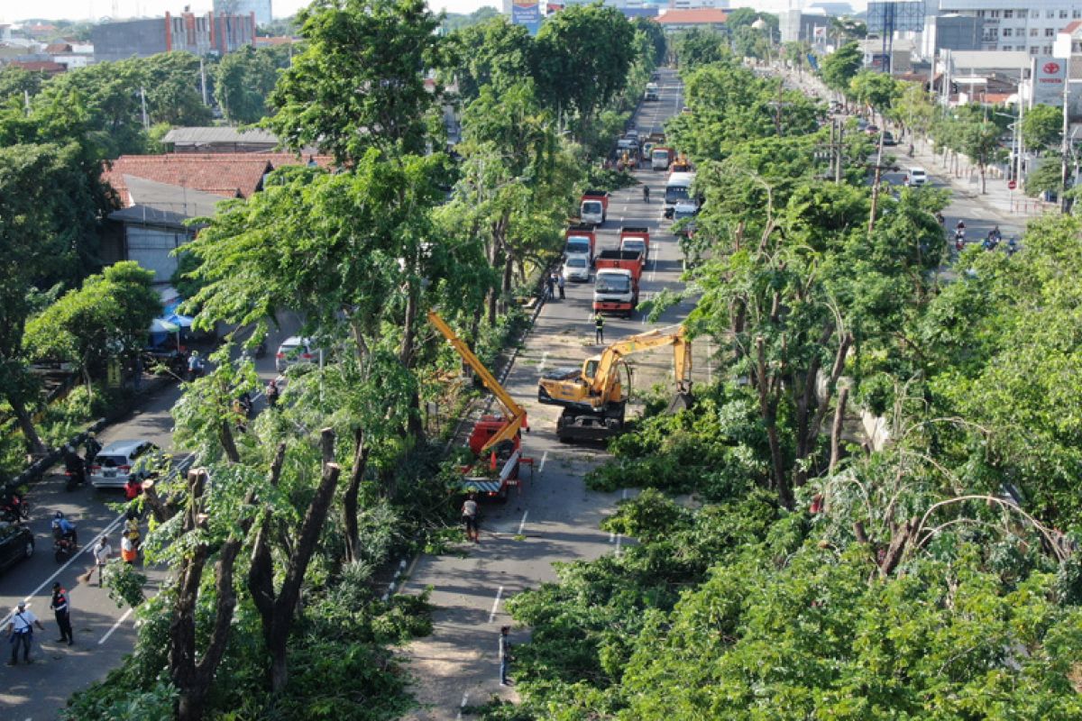 Pupuk kompos dihasilkan dari pemangkasan pohon di Surabaya