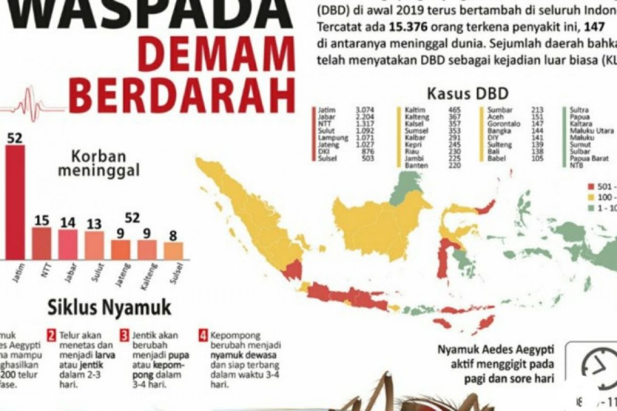 Penyakit DBD dilaporkan 84 kasus di enam provinsi