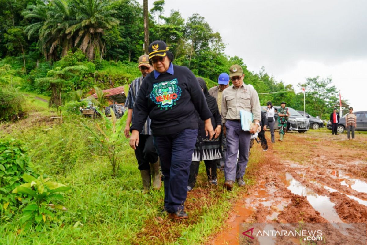 1,2 juta bibit dibutuhkan rehabilitasi lokasi bencana Bogor dan Lebak