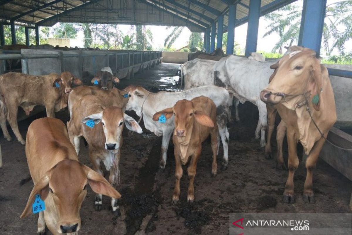 DIY melokalisasi daerah tercemar antraks di Gunung Kidul