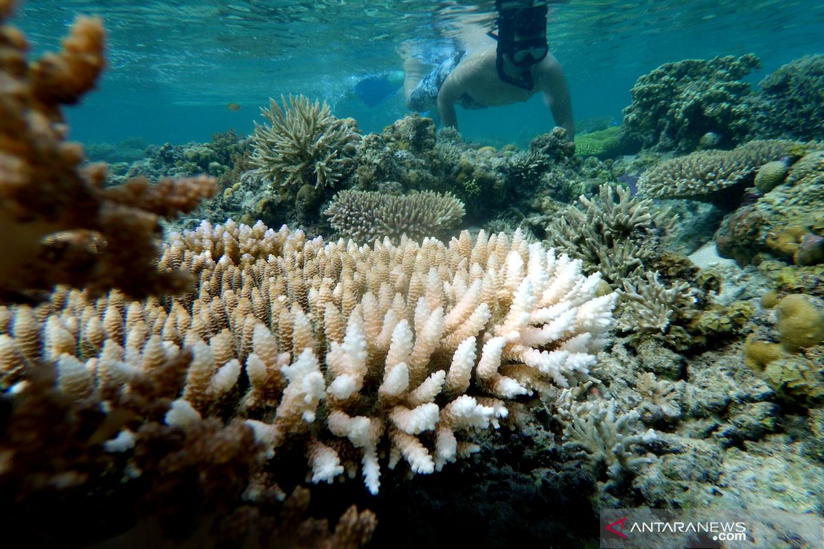 BI sebut butuh sinergi majukan pariwisata Gorontalo