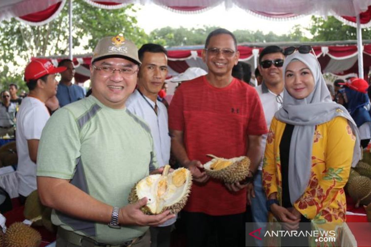 Gubernur: Cita rasa durian Bangka Belitung terbaik di dunia