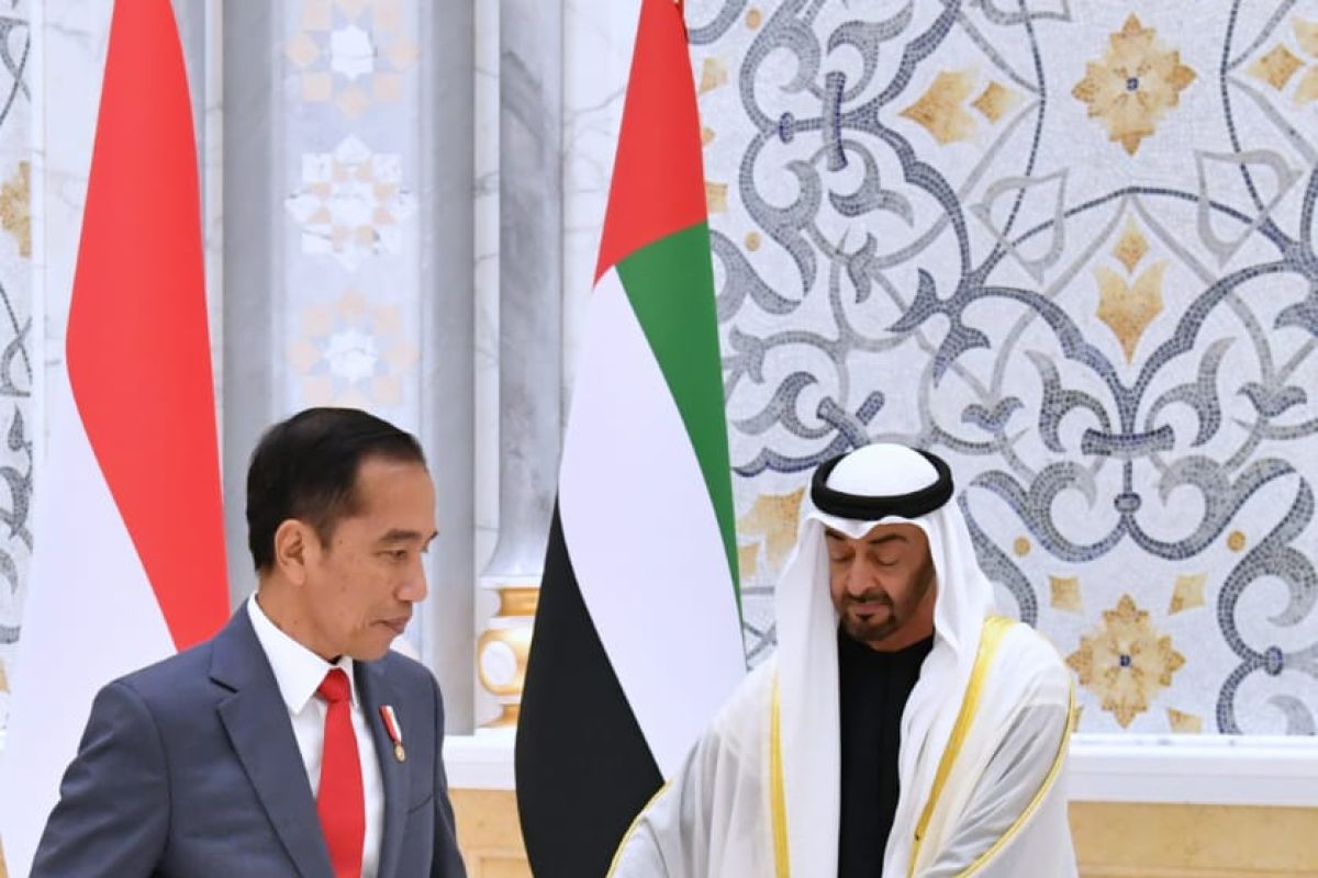 Putra Mahkota UAE sebut:  Kami komitmen terhadap pembentukan negara Palestina