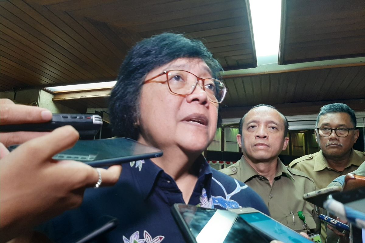 Menteri LHK Siti Nurbaya minta semua unit terkait DAS lebih sensitif