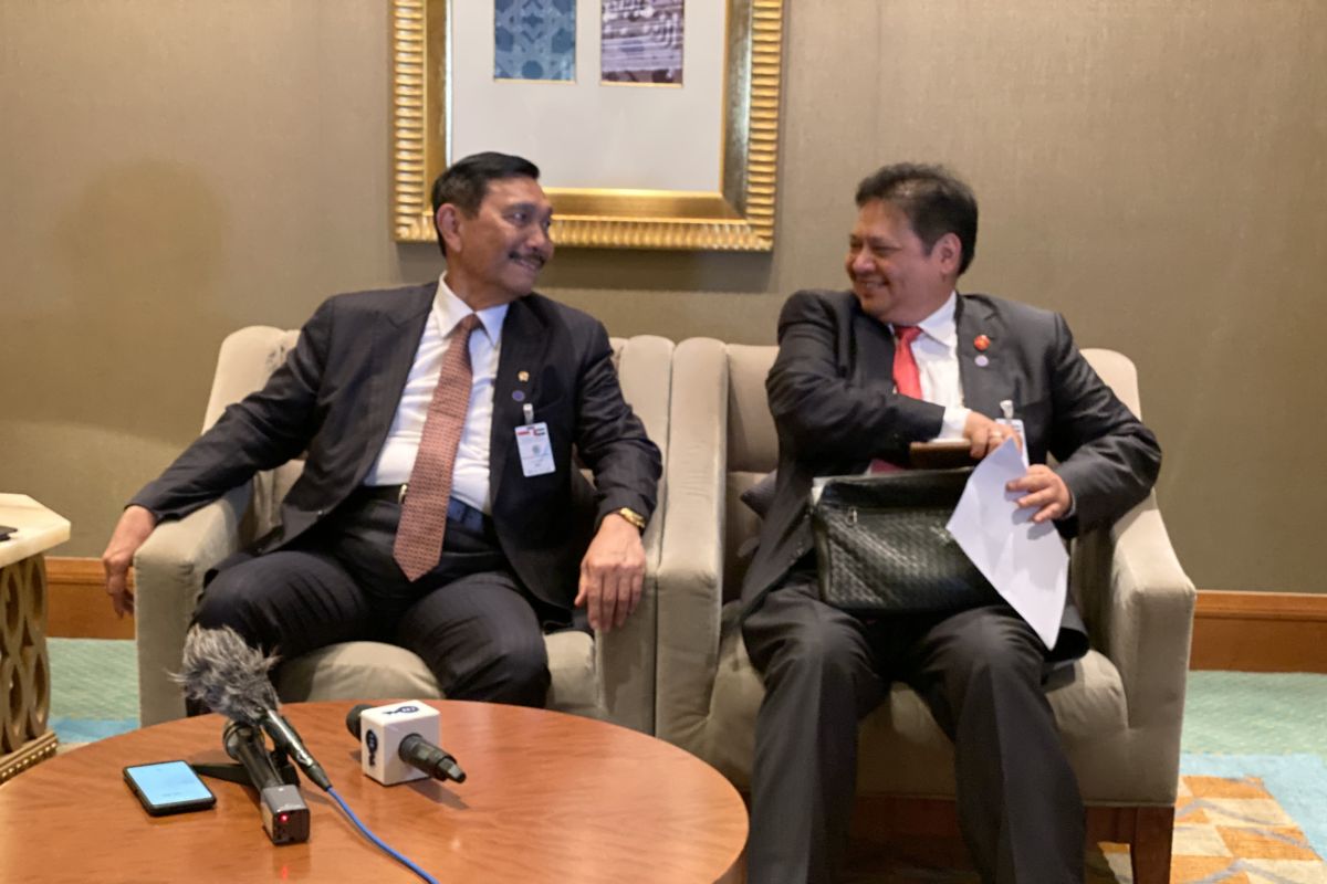 Indonesia, UAE strike biggest landmark deal: Luhut Pandjaitan