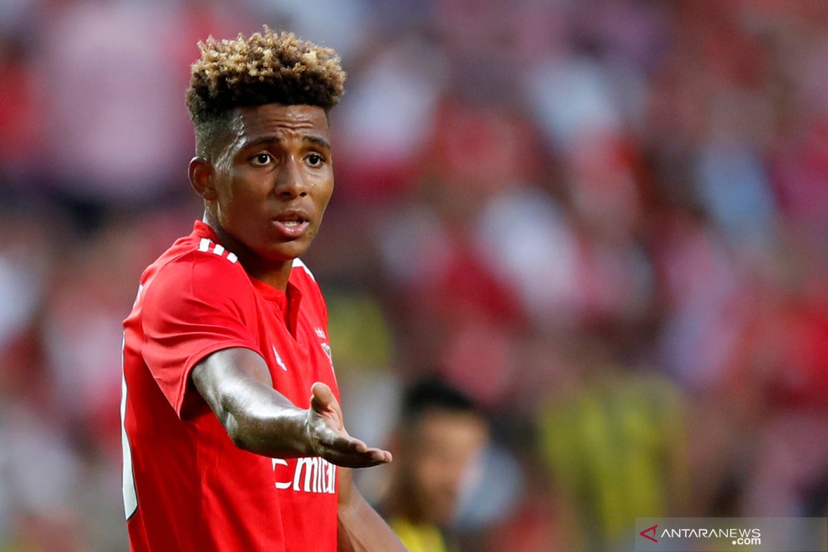 Tottenham Hotspur pinjam  Gedson Fernandes dari Benfica