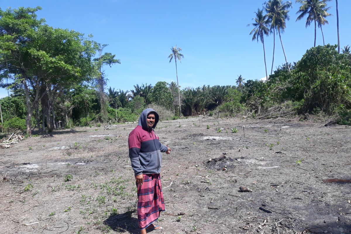 Korban tsunami Mamboro-Palu bersedia dipindahkan secara mandiri