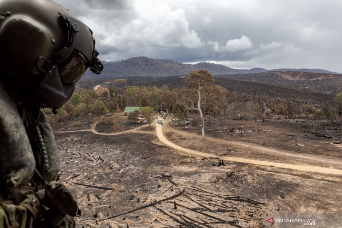 Kebakaran Australia ganggu produksi batu bara