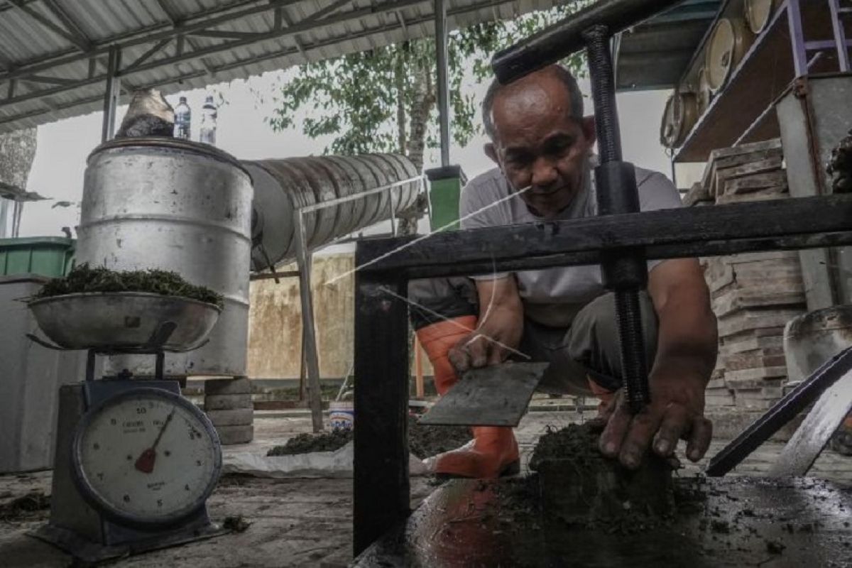 Sampah organik diolah jadi batu bara