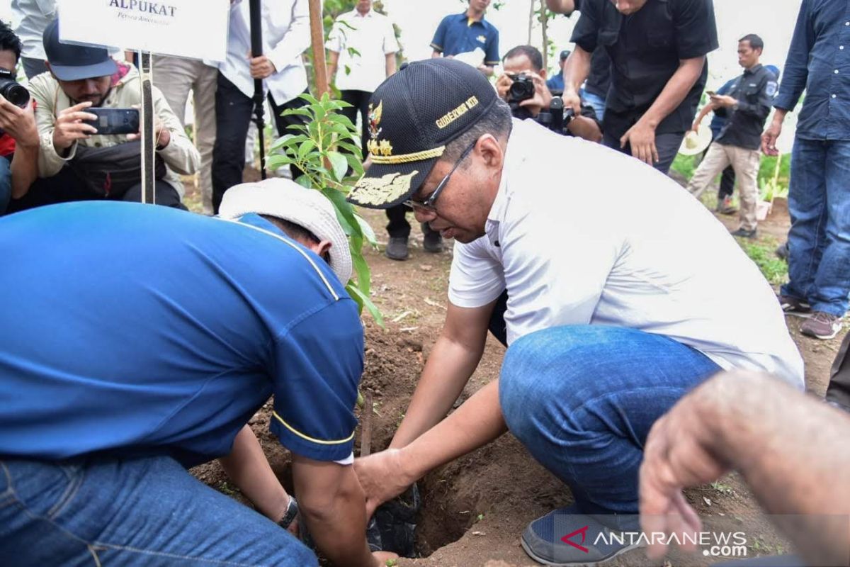 Gubernur NTB mengawali penanaman 6.035 pohon di Lombok Timur
