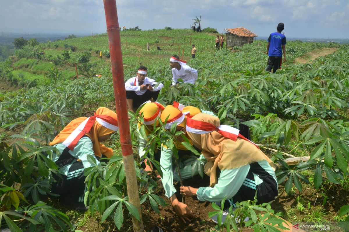 Jawa Tengah pulihkan 251.037 hektare lahan dan hutan sejak 2014