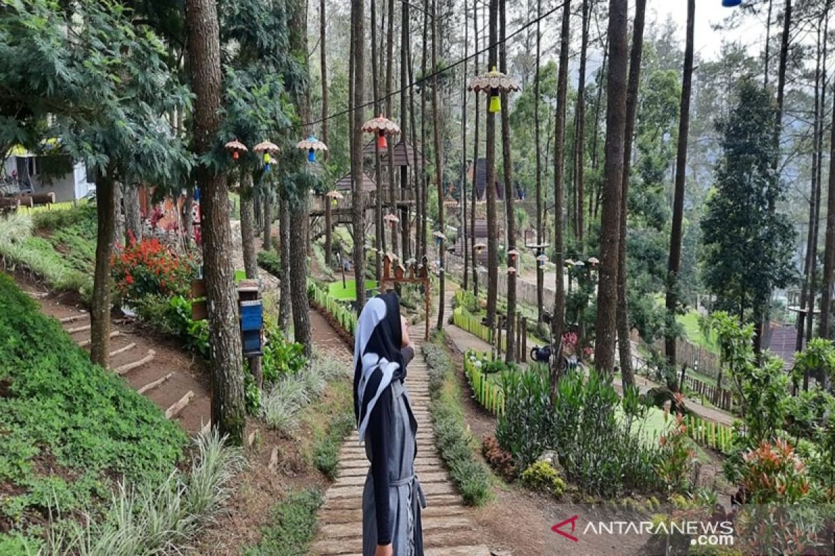 Objek wisata The Lawu Park tawarkan rekreasi wahana permainan dan penginapan