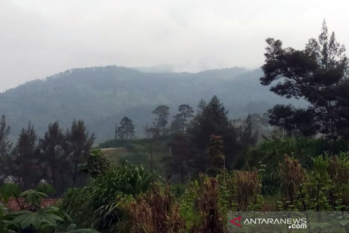 BTNGMb bersihkan jalur  pendakian Merbabu melalui Selo