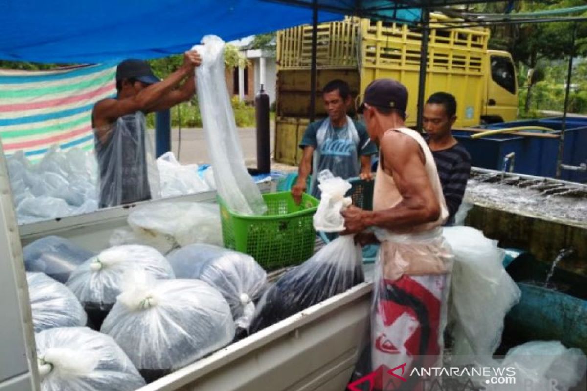 Produksi ikan air tawar di Agam berkurang 544,96 ton