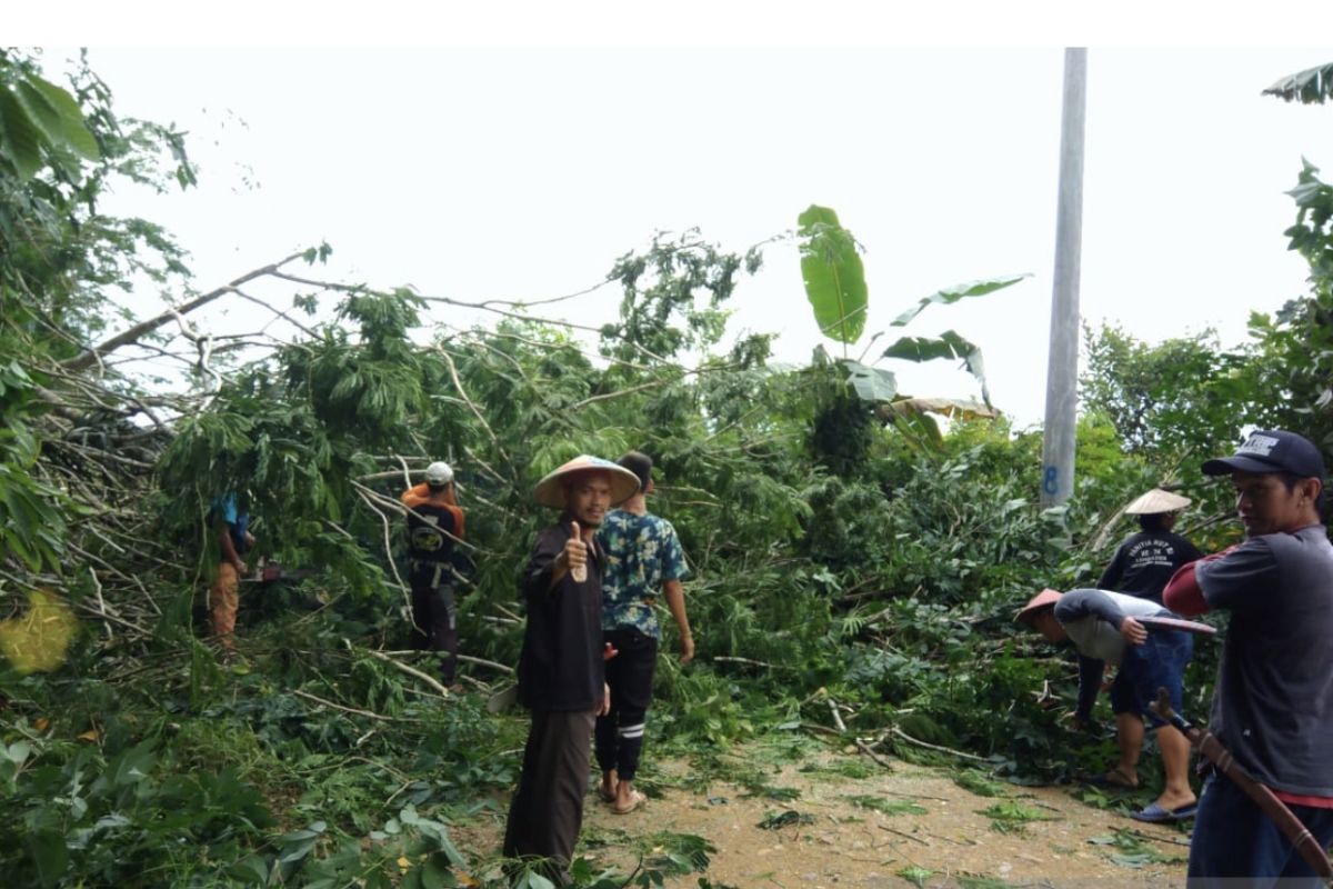 Warga pedalaman bantu pemasangan jaringan listrik PLN