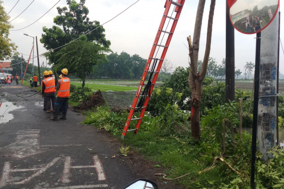 Angin kencang rusak puluhan rumah warga di Sidoarjo (Video)