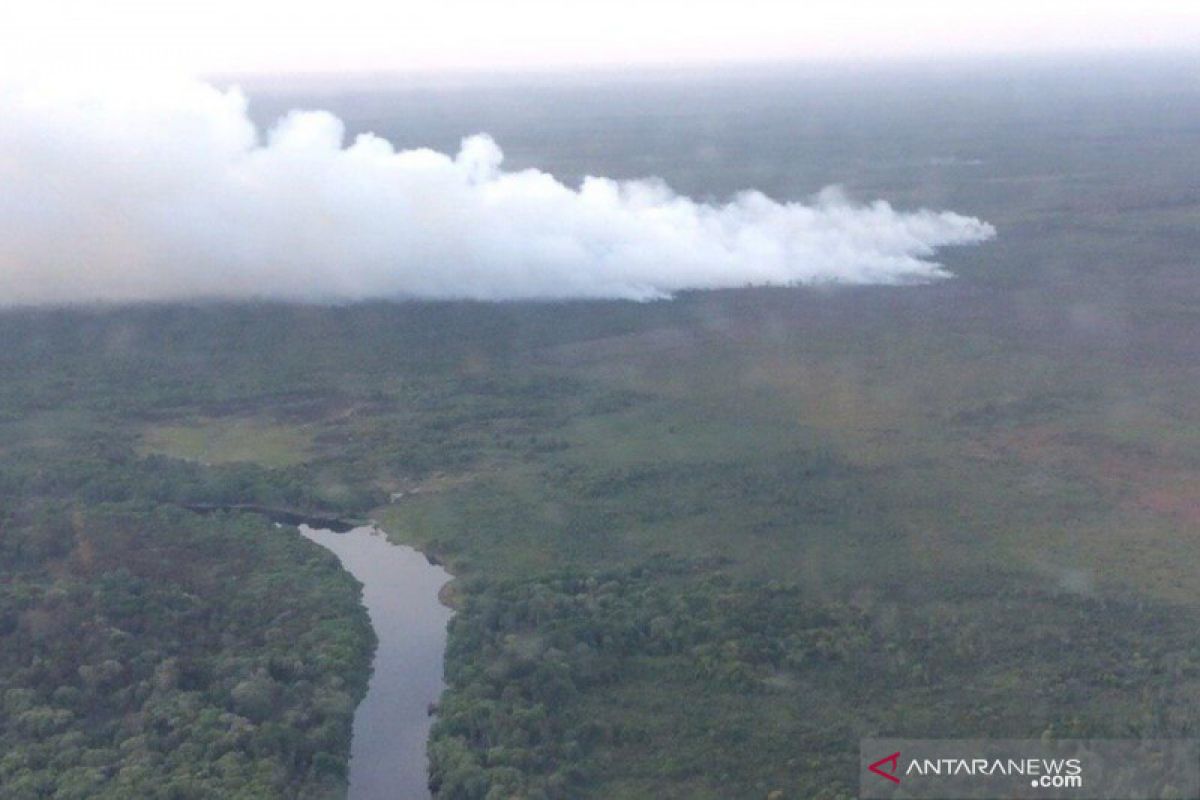 10 hektare hutan di SM Giam Siak Kecil Riau terbakar