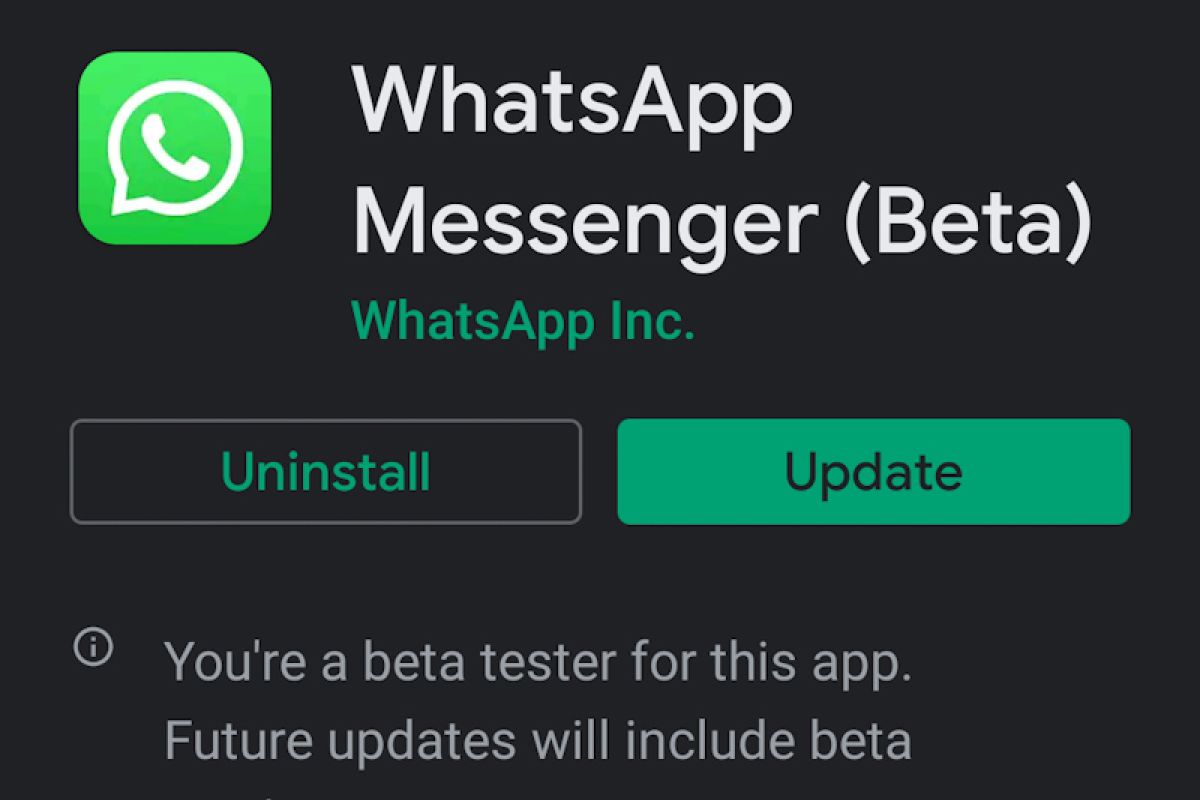 WhatsApp versi 2.20.8 tersedia di Google Play, tanpa Dark Mode