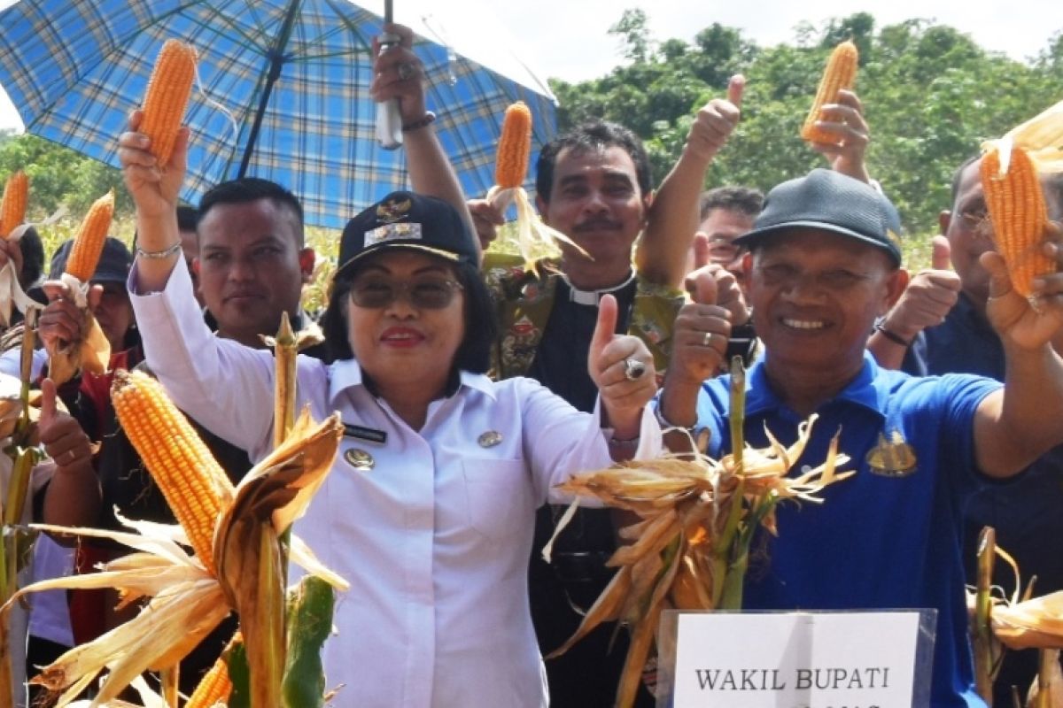 Wabup Gumas ajak petani tanam jagung untuk menambah penghasilan