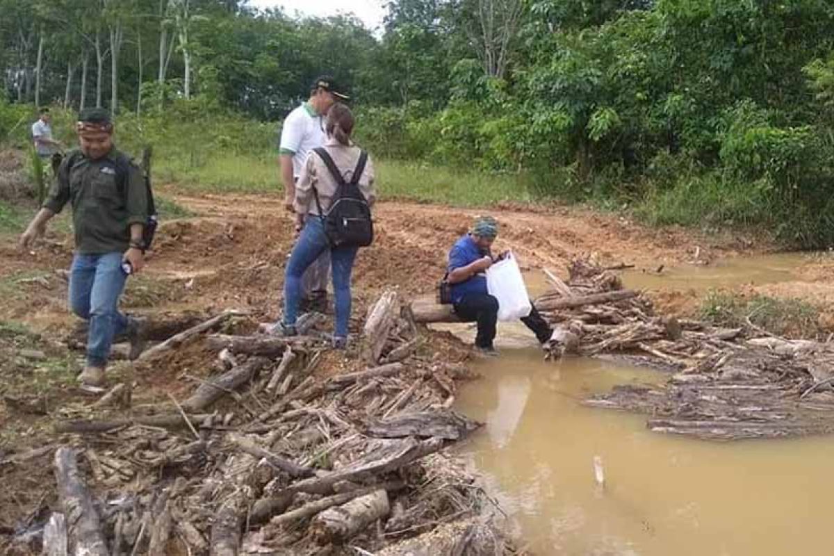 Terindikasi Rusak sempadan sungai, Pemkab Bartim sanksi PT KSL