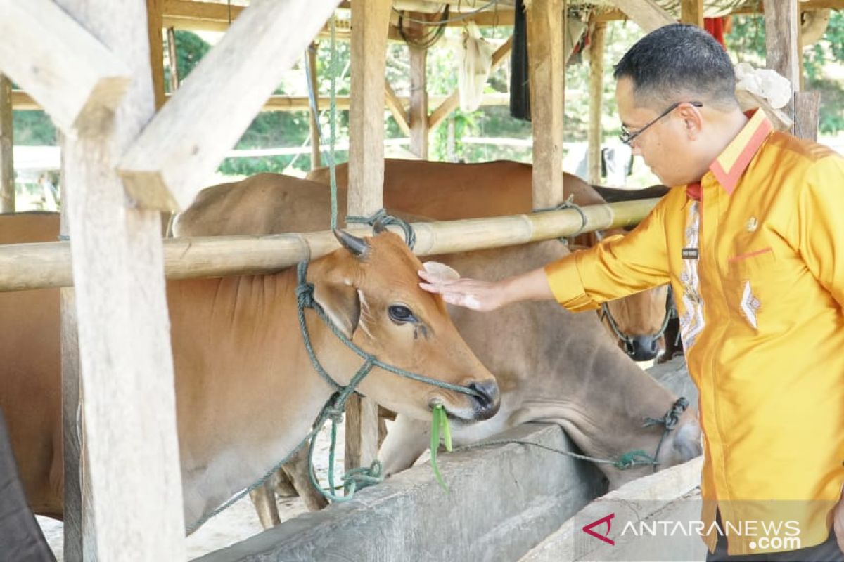 Pemkab Gorontalo Utara akan gunakan skema khusus dalam penyaluran bantuan